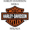Harley Davidson Touring Interruptor De Manillar De Audio 71642-08