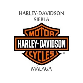 Harley Davidson Touring Interruptor De Manillar De Audio 71642-08