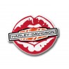 PARCHE  TERMOADHESIVO -MULTI COLOR KISS HARLEY IRON-ON PATCH
