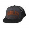 HARLEY DAVIDSON ARCHED PERFORATED CAP