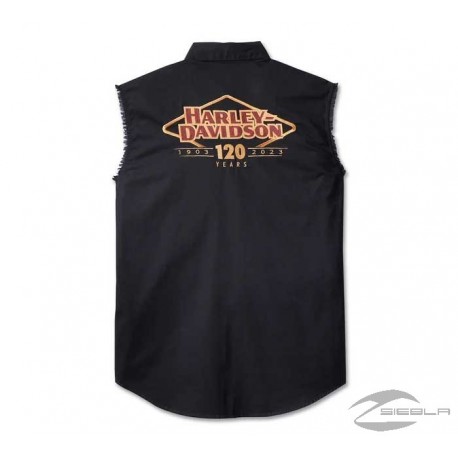 Chaleco Harley Davidson 120th Anniversario para hombre