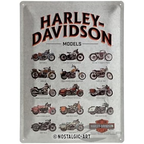 NOSTALGIC- HALRYE DAVIDSON MODELS 30X40