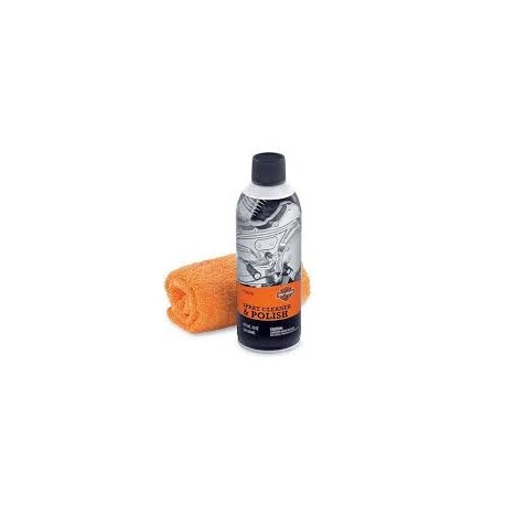 Spray Limpiador y Abrillantador + paño de microfibra