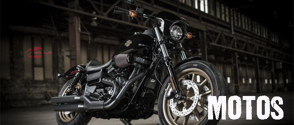 Motos de ocasión de la marca Harley-Davidson