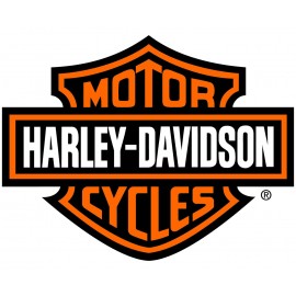 Harley Davidson Empire Highway Footpegs